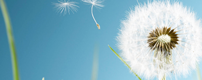 山东烟起起重设备有限公司简介